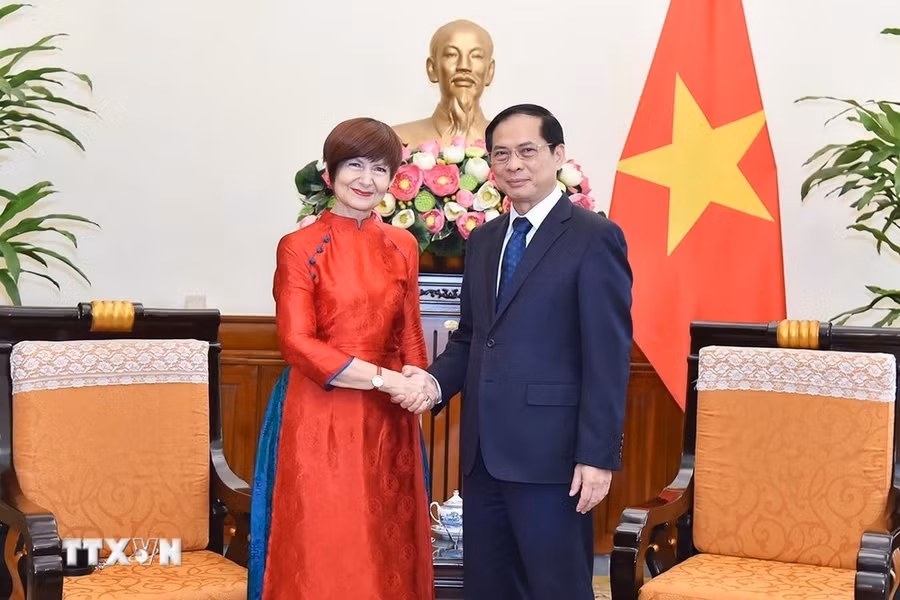 Bộ trưởng Ngoại giao Bùi Thanh Sơn tiếp bà Simona-Mirela Miculescu, Chủ tịch Đại hội đồng UNESCO. (Ảnh: TTXVN phát)