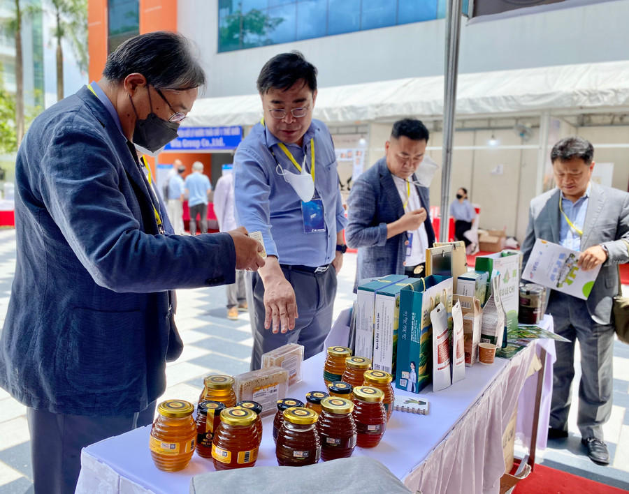 Các hợp tác xã trên địa bàn tỉnh đang rất cần nguồn nhân lực chất lượng cao để phát triển sản xuất kinh doanh, mở rộng thị trường. Ảnh: H.D