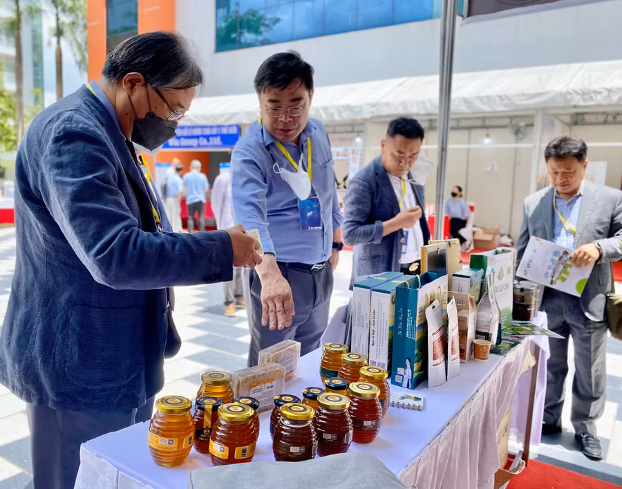 Các hợp tác xã trên địa bàn tỉnh đang rất cần nguồn nhân lực chất lượng cao để phát triển sản xuất kinh doanh, mở rộng thị trường. Ảnh: H.D