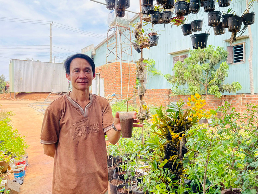 Anh Lê Hữu Trường tự tay ươm trồng các loại cây cảnh nên chi phí thấp, đem về nguồn thu cao. Ảnh: N.H