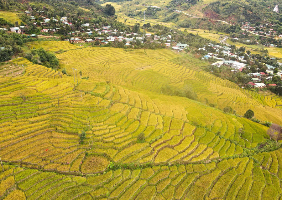 Ruộng bậc thang ở xã Măng Ri, huyện Tu Mơ Rông, Kon Tum. Ảnh: NP Ruộng bậc thang ở xã Măng Ri, huyện Tu Mơ Rông, Kon Tum. Ảnh: NP