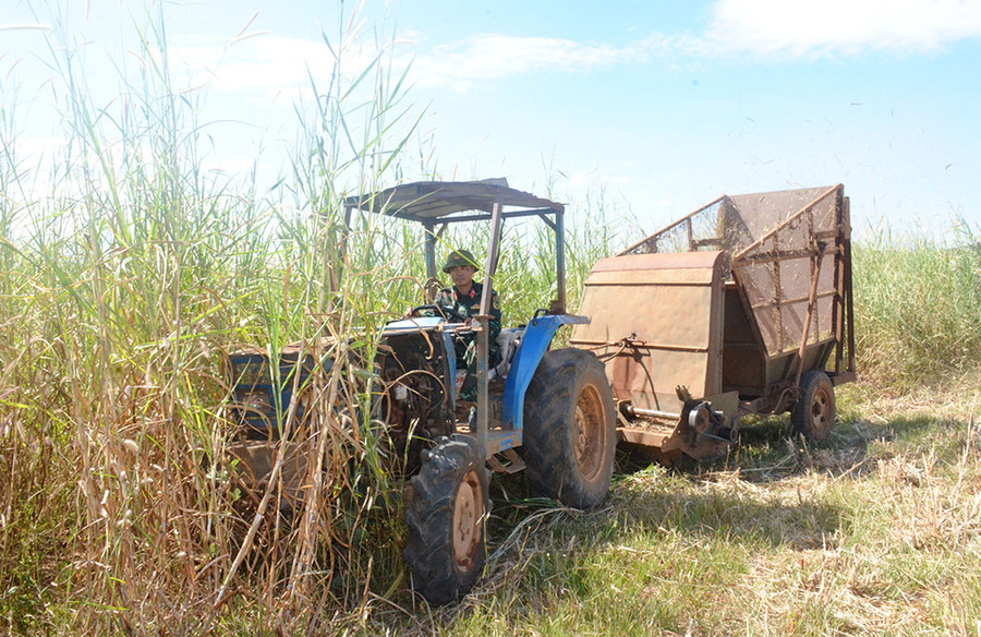 Máy cắt, băm cỏ liên hợp giúp Xí nghiệp Chăn nuôi thuộc Công ty TNHH một thành viên 74 giảm được nhiều ngày công lao động, giảm chi phí hơn 200 triệu đồng mỗi năm. Ảnh: V.H Máy cắt, băm cỏ liên hợp giúp Xí nghiệp Chăn nuôi thuộc Công ty TNHH một thành viên 74 giảm được nhiều ngày công lao động, giảm chi phí hơn 200 triệu đồng mỗi năm. Ảnh: V.H