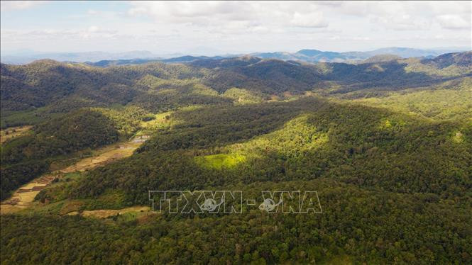 Một góc vườn Quốc gia Kon Ka Kinh. Ảnh: Dư Toán/TTXVN Một góc vườn Quốc gia Kon Ka Kinh. Ảnh: Dư Toán/TTXVN