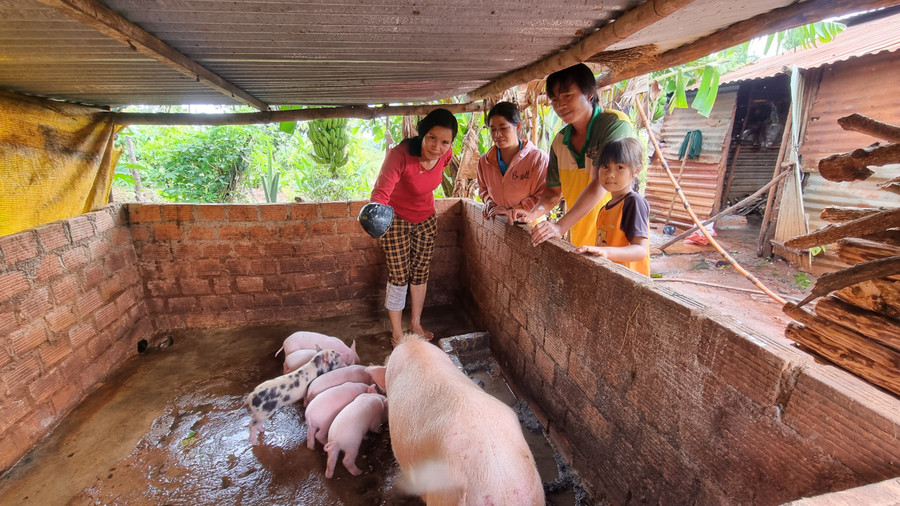 Nhờ mô hình sinh kế được tặng, gia đình chị Rơ Châm Uk (làng Rối, xã Ia Phí) từng bước vươn lên thoát nghèo. Ảnh: K.P Nhờ mô hình sinh kế được tặng, gia đình chị Rơ Châm Uk (làng Rối, xã Ia Phí) từng bước vươn lên thoát nghèo. Ảnh: K.P
