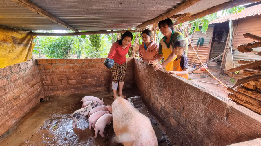 Nhờ mô hình sinh kế được tặng, gia đình chị Rơ Châm Uk (làng Rối, xã Ia Phí) từng bước vươn lên thoát nghèo. Ảnh: K.P