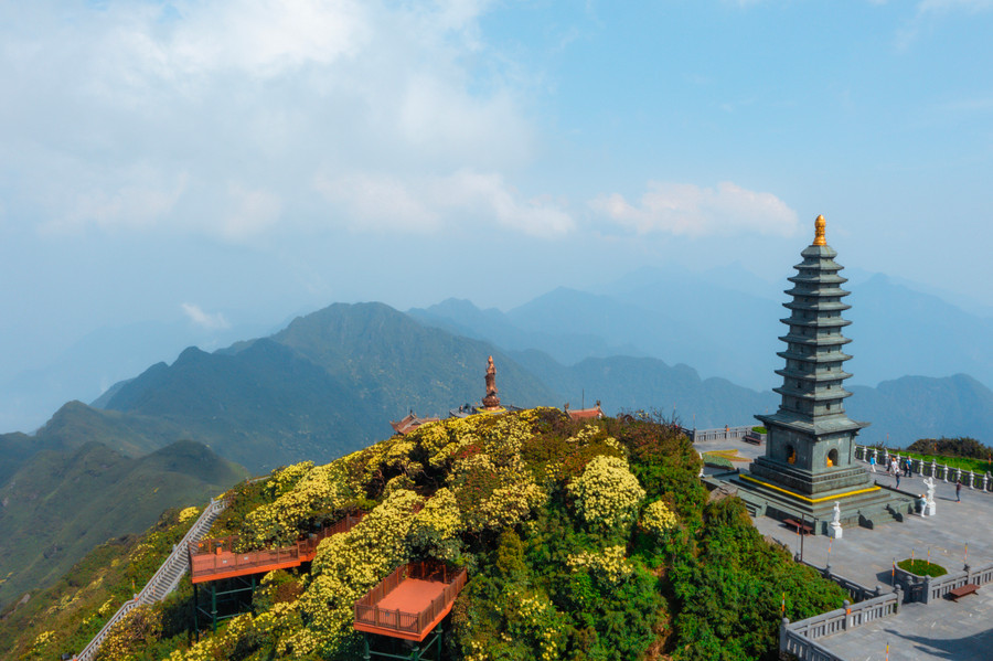 Sắc vàng điểm xuyết giữa màu xanh của núi rừng Tây Bắc tựa như đang dệt gấm thêu hoa lên núi rừng hùng vĩ, tạo nên một bức tranh thiên nhiên tuyệt sắc.