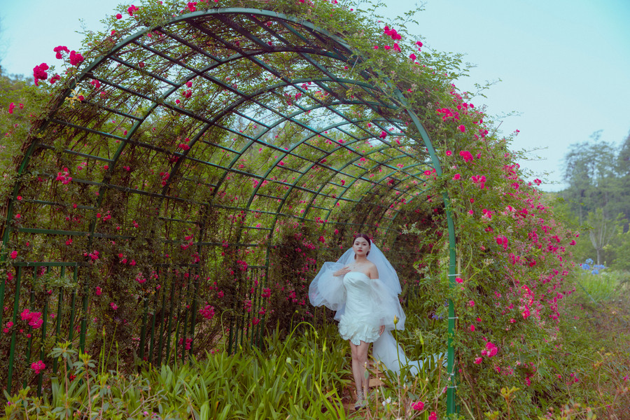 Đặc biệt, dịp lễ 30.4 năm nay không chỉ là mùa nở rộ của đỗ quyên, mà còn là thời điểm của hàng triệu đóa hoa hồng đồng loạt bung nở trong Lễ hội Hoa hồng 2024. Ảnh: N.A