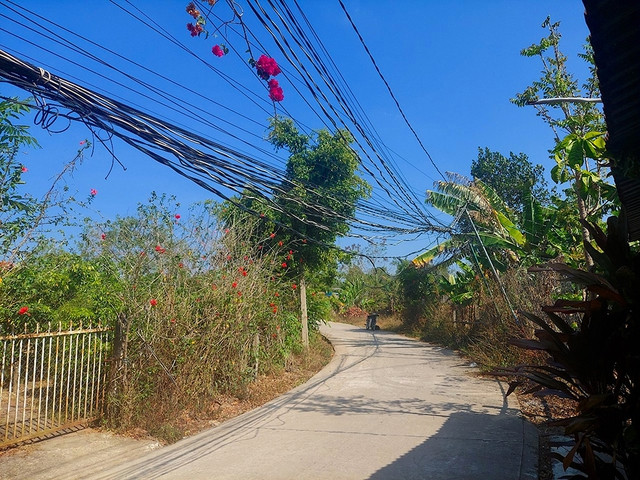 Người dân tại đường số 2 phải tự làm đường, kéo đường dây điện về sử dụng Người dân tại đường số 2 phải tự làm đường, kéo đường dây điện về sử dụng