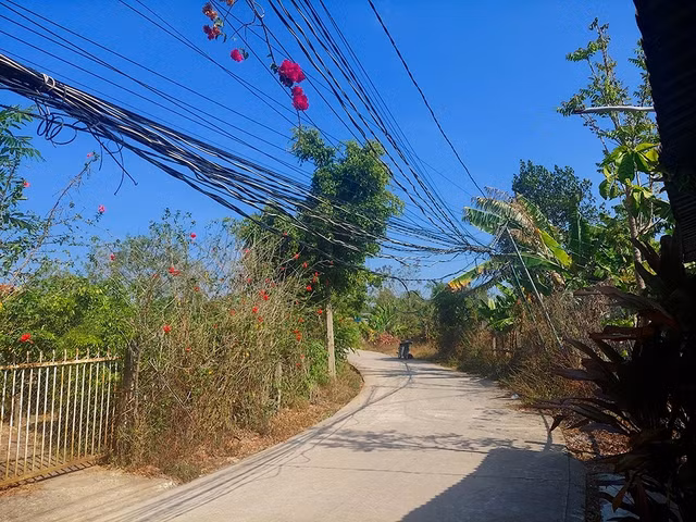 Người dân tại đường số 2 phải tự làm đường, kéo đường dây điện về sử dụng