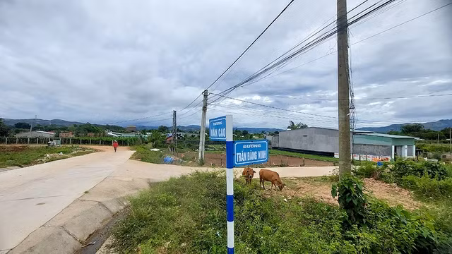 Trục đường Văn Cao - Trần Đăng Ninh có hàng chục ha đất nằm trong quy hoạch