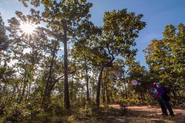 Việt Nam cần sớm hình thành thị trường giao dịch carbon