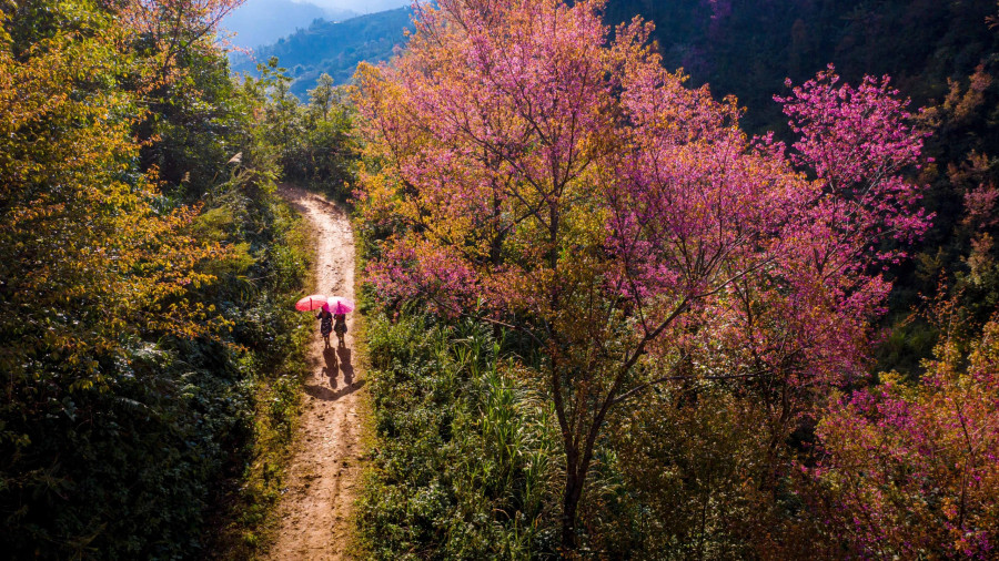 Mùa xuân trên vùng núi Tây Bắc, Việt Nam. Ảnh: BÙI VĂN HẢI Mùa xuân trên vùng núi Tây Bắc, Việt Nam. Ảnh: BÙI VĂN HẢI