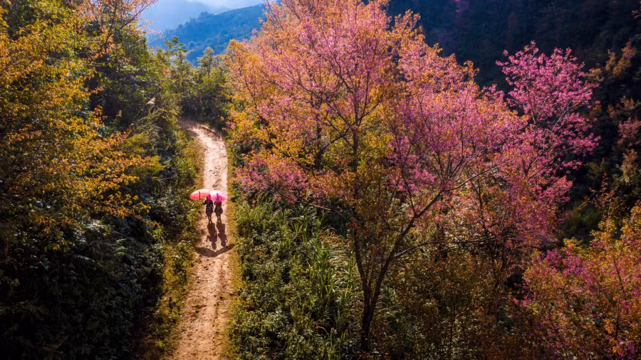 Mùa xuân trên vùng núi Tây Bắc, Việt Nam. Ảnh: BÙI VĂN HẢI