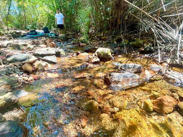 Cuối tuần đi Bình Dương tắm Suối Trúc, ăn lẩu cá không tên - Ảnh 2. Dọc suối là những bụi trúc mọc tự nhiên. Ảnh: HUỲNH NHI