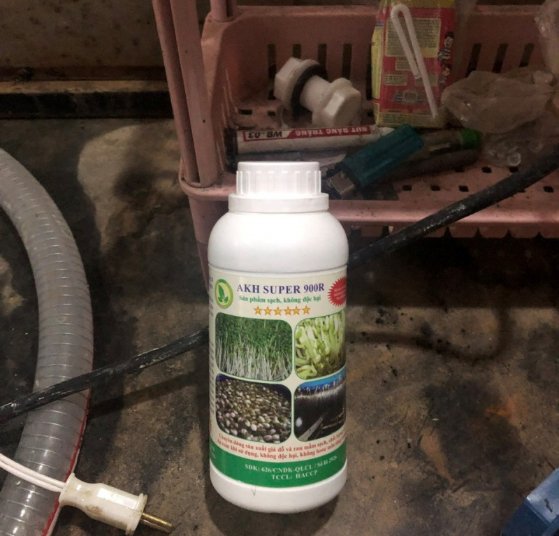 Cận cảnh bên trong 3 cơ sở sản xuất giá đỗ cùng la liệt các thùng, dụng cụ để ủ giá đỗ phủ trắng thuốc kích thích tăng trưởng độc hại.