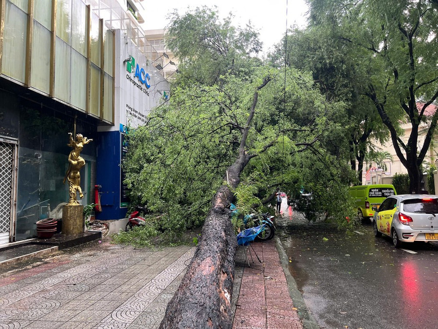 Hiện trường vụ việc Hiện trường vụ việc