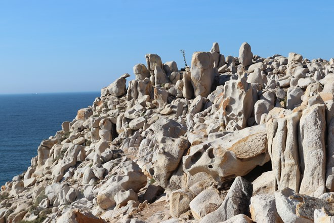 Một góc Công viên đá nằm trong Khu Dự trữ Sinh quyển Thế giới Núi Chúa. (Ảnh: Nguyễn Thành/TTXVN) Một góc Công viên đá nằm trong Khu Dự trữ Sinh quyển Thế giới Núi Chúa. (Ảnh: Nguyễn Thành/TTXVN)