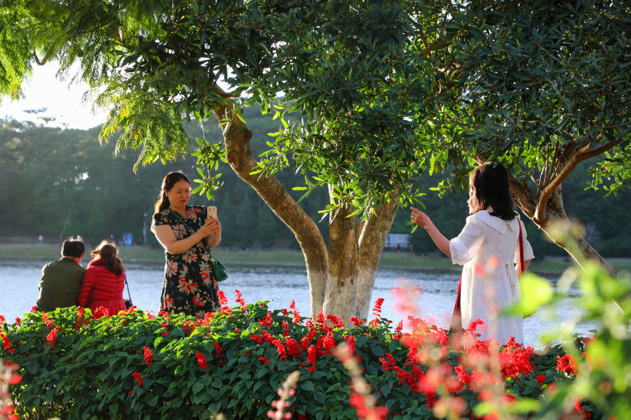 Du khách chụp ảnh lưu niệm bên Hồ Xuân Hương Du khách chụp ảnh lưu niệm bên Hồ Xuân Hương