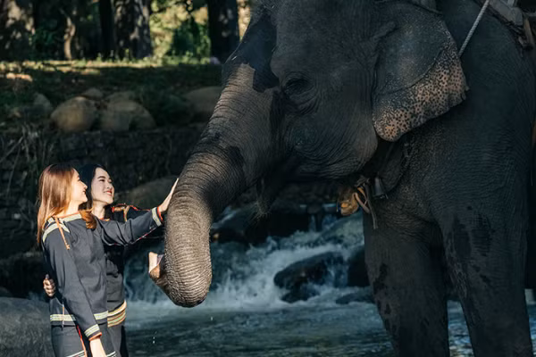 Thông điệp “Tôi cười cùng voi, tôi ngưng cưỡi voi” được Trung tâm du lịch Cầu Treo buôn Đôn truyền thông mạnh mẽ để lan tỏa thông điệp bảo vệ loài voi. Ảnh: Mán Hwing Bun.