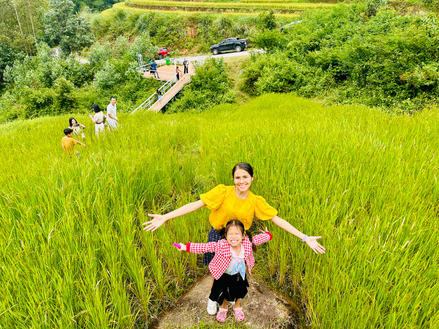 Những cánh đồng lúa chín khiến du khách thích thú. Ảnh: LÃ NGHĨA HIẾU