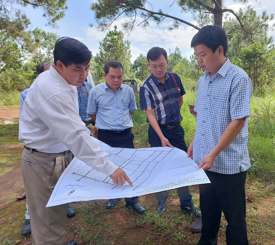 Phó Chủ tịch UBND tỉnh kiểm tra khu vực dự kiến thành lập khu sản xuất tập trung tại Hải Yang giai đoạn 2021-2025. Ảnh: Nguyễn Diệp