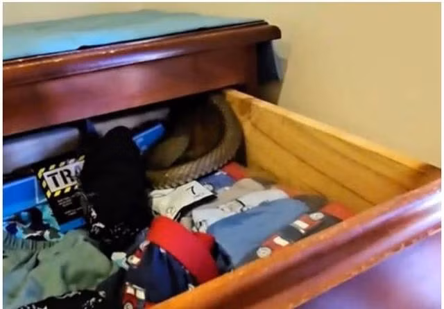 Con rắn độc thứ hai thế giới được tìm thấy trong ngăn kéo đồ lót của trẻ. Chụp màn hình New York Post