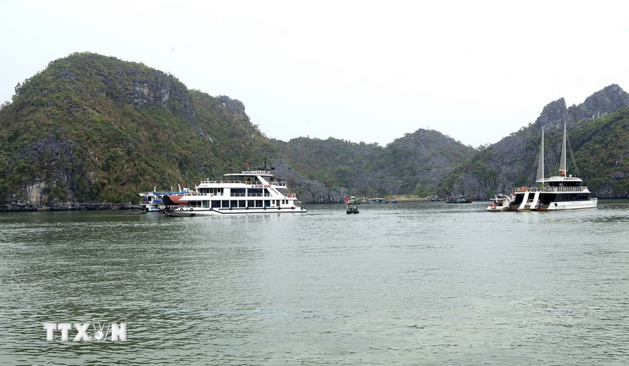 9 tháng năm 2024, khoảng 1 triệu du khách trong tổng số 2,7 triệu khách khách du lịch đến Cát Bà lựa chọn du lịch trên Vịnh Lan Hạ. (Ảnh: Minh Thu/TTXVN) 9 tháng năm 2024, khoảng 1 triệu du khách trong tổng số 2,7 triệu khách khách du lịch đến Cát Bà lựa chọn du lịch trên Vịnh Lan Hạ. (Ảnh: Minh Thu/TTXVN)