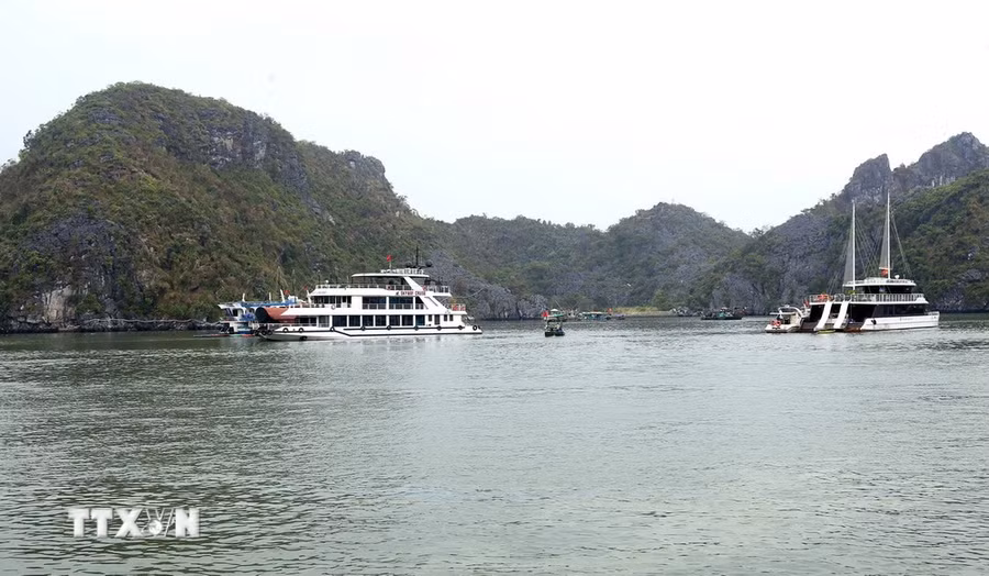 9 tháng năm 2024, khoảng 1 triệu du khách trong tổng số 2,7 triệu khách khách du lịch đến Cát Bà lựa chọn du lịch trên Vịnh Lan Hạ. (Ảnh: Minh Thu/TTXVN)