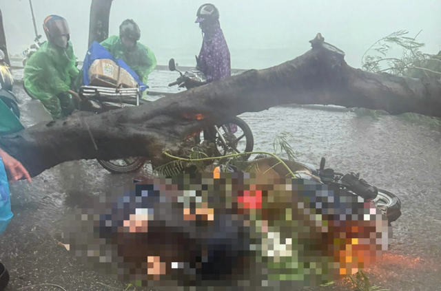 Hiện trường vụ tai nạn thương tâm. Ảnh: Thành Đạt