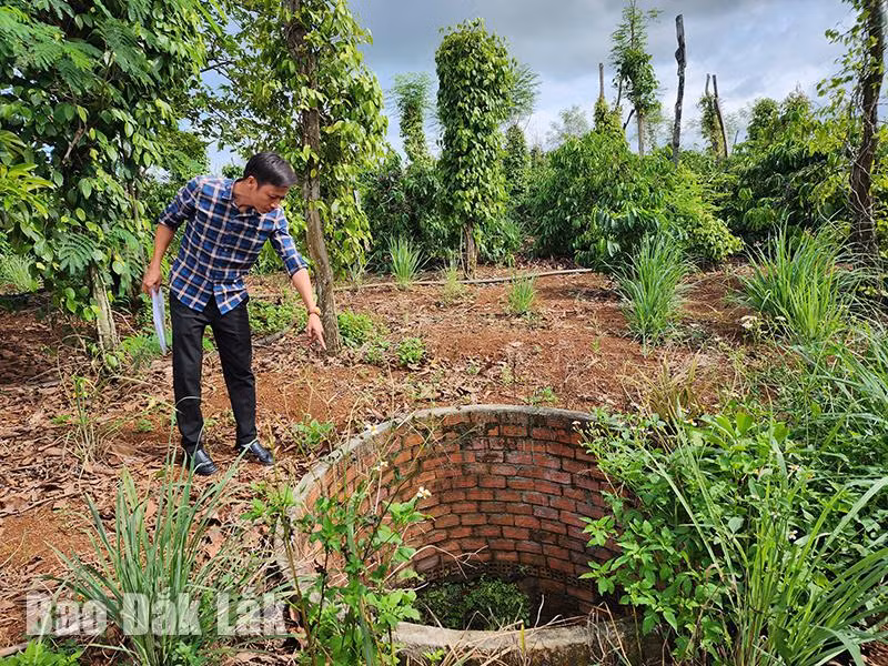 Giếng đào không được che chắn cẩn thận trở thành "cái bẫy" nguy hiểm. Giếng đào không được che chắn cẩn thận trở thành "cái bẫy" nguy hiểm.