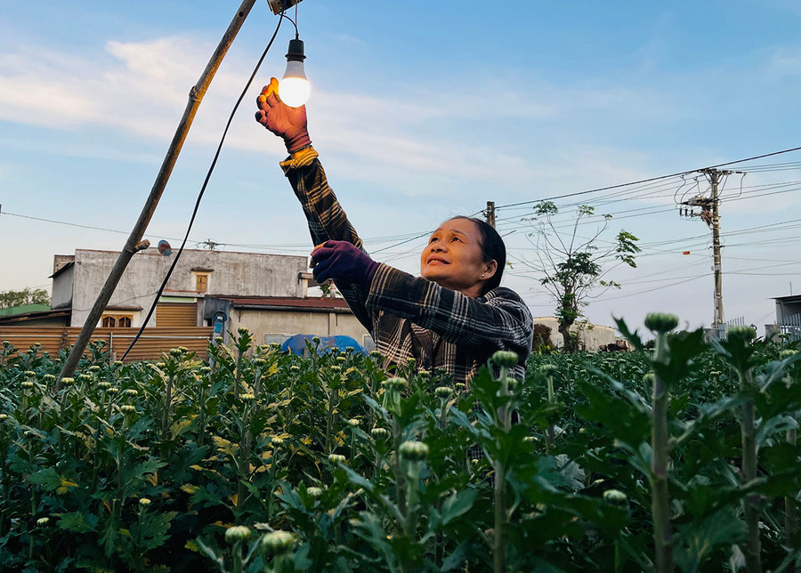 Hơn 18 giờ tối, gia đình bà Huỳnh Thị Nga (thôn 4, xã An Phú, TP. Pleiku) bắt đầu thắp đèn để chăm sóc vườn hoa cúc. Ảnh: Trần Dung Hơn 18 giờ tối, gia đình bà Huỳnh Thị Nga (thôn 4, xã An Phú, TP. Pleiku) bắt đầu thắp đèn để chăm sóc vườn hoa cúc. Ảnh: Trần Dung