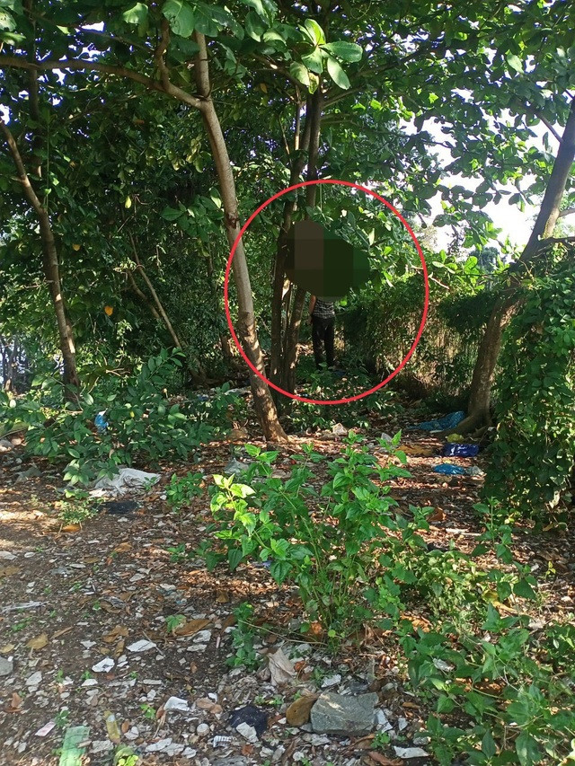 Ảnh minh họa. Ảnh minh họa.