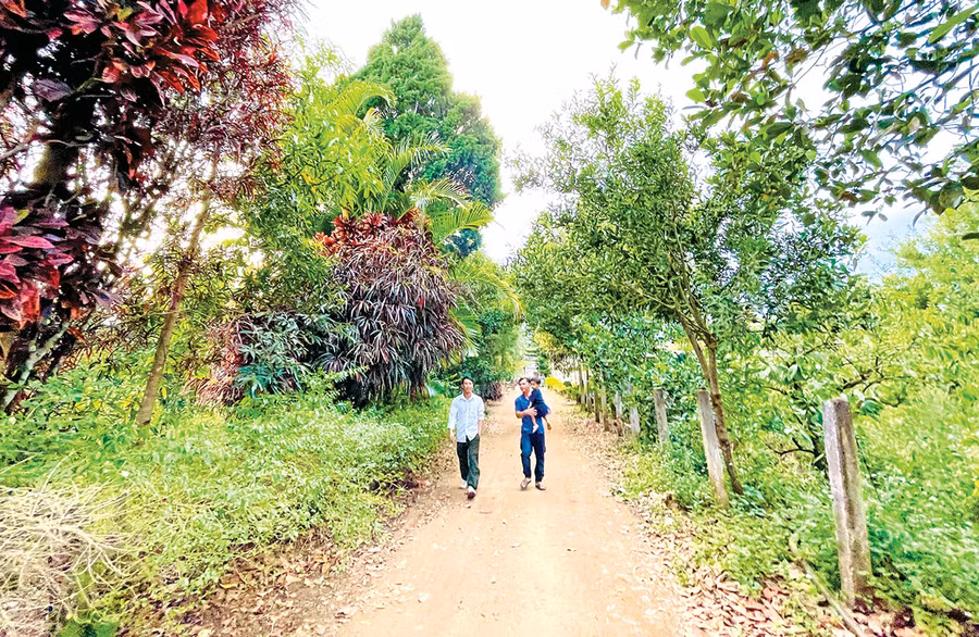 Tamba chú trọng hướng tới xây dựng thương hiệu, tập trung canh tác sạch, bảo vệ môi trường. Ảnh: M.K