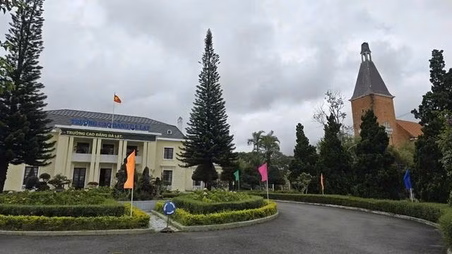 Trường CĐ Đà Lạt không được giao chỉ tiêu đào tạo ngành sư phạm mầm non. Ảnh LÂM VIÊN