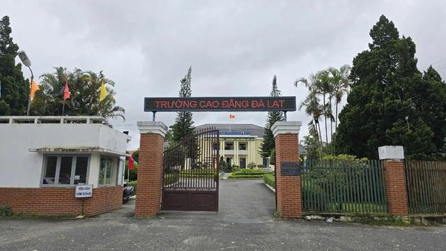 Người ở Lâm Đồng nếu có nhu cầu học sư phạm mầm non có thể về Nha Trang, TP.HCM, Đắk Lắk… để học. Ảnh LÂM VIÊN