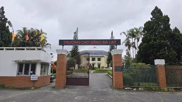 Người ở Lâm Đồng nếu có nhu cầu học sư phạm mầm non có thể về Nha Trang, TP.HCM, Đắk Lắk… để học. Ảnh LÂM VIÊN Người ở Lâm Đồng nếu có nhu cầu học sư phạm mầm non có thể về Nha Trang, TP.HCM, Đắk Lắk… để học. Ảnh LÂM VIÊN