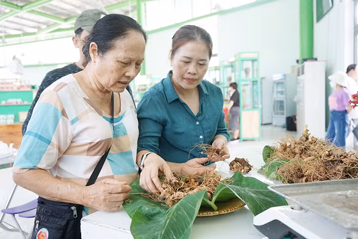 Ở những phiên chợ sâm Ngọc Linh, người dân, doanh nghiệp ai nấy đều rạng rỡ, du khách cũng thích thú.