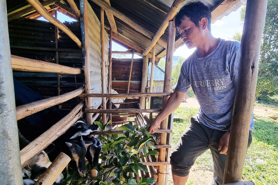 Nhờ được hỗ trợ nuôi dê, gia đình anh Đinh Luy (làng Đê Bơ Tưk, xã Đak Jơ Ta, huyện Mang Yang từng bước ổn định cuộc sống. Ảnh: Minh Phương Nhờ được hỗ trợ nuôi dê, gia đình anh Đinh Luy (làng Đê Bơ Tưk, xã Đak Jơ Ta, huyện Mang Yang từng bước ổn định cuộc sống. Ảnh: Minh Phương