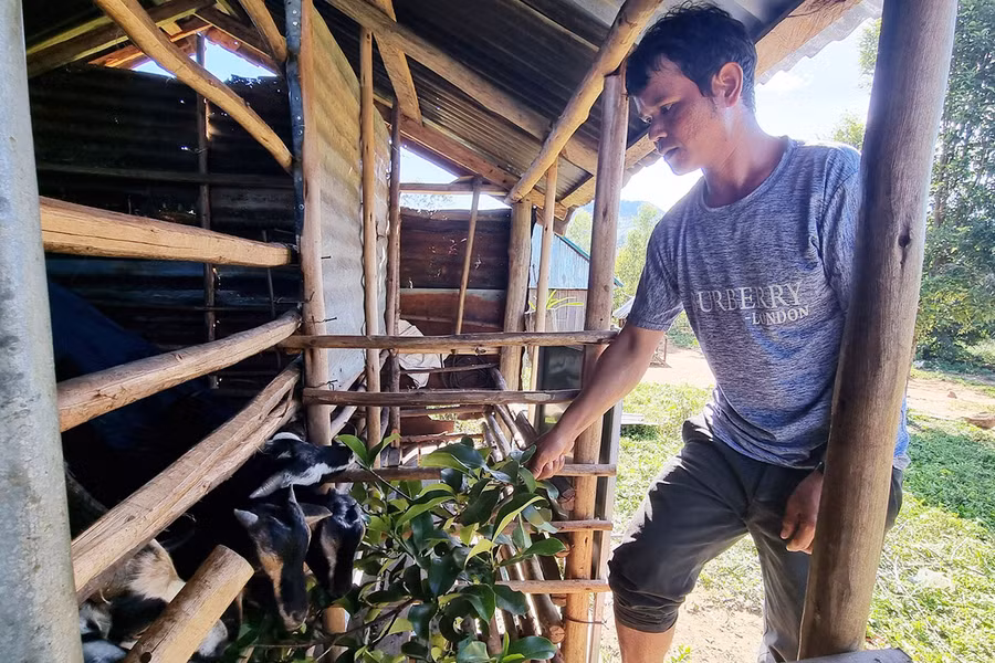 Nhờ được hỗ trợ nuôi dê, gia đình anh Đinh Luy (làng Đê Bơ Tưk, xã Đak Jơ Ta, huyện Mang Yang từng bước ổn định cuộc sống. Ảnh: Minh Phương