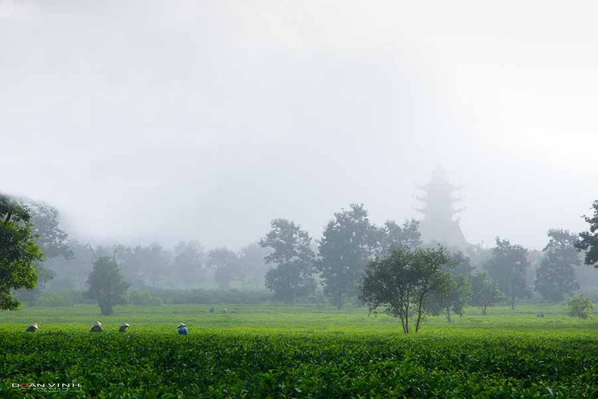 Gia Lai có thể phát triển loại hình du lịch đồn điền khi “sở hữu” 2 đồn điền chè có lịch sử hình thành hàng thế kỷ. Ảnh: Doãn Vinh Gia Lai có thể phát triển loại hình du lịch đồn điền khi “sở hữu” 2 đồn điền chè có lịch sử hình thành hàng thế kỷ. Ảnh: Doãn Vinh