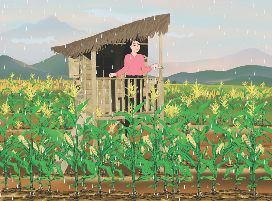 Minh họa: Huyền Trang Minh họa: Huyền Trang