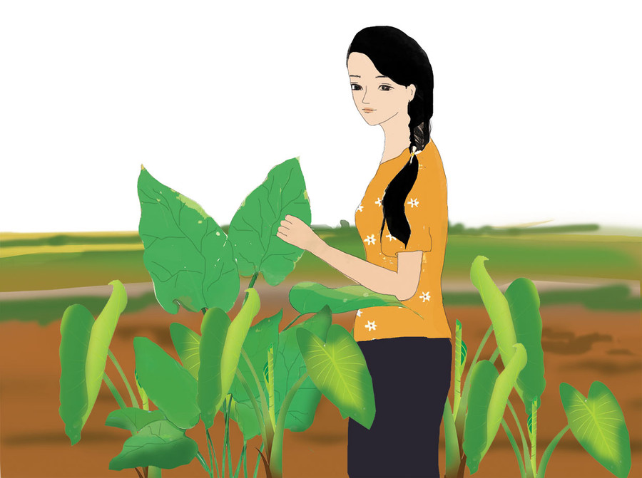 Minh họa: H.T Minh họa: H.T