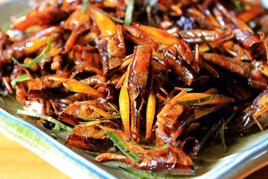 Chị N. tử vong sau khi ăn cào cào.