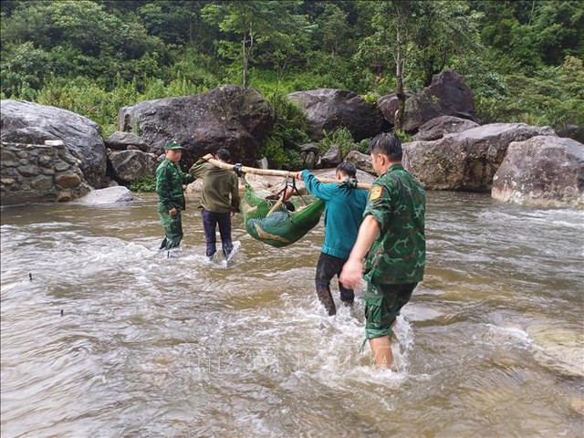 Lực lượng chức năng đưa nạn nhân ra khỏi rừng. Ảnh: TTXVN Lực lượng chức năng đưa nạn nhân ra khỏi rừng. Ảnh: TTXVN
