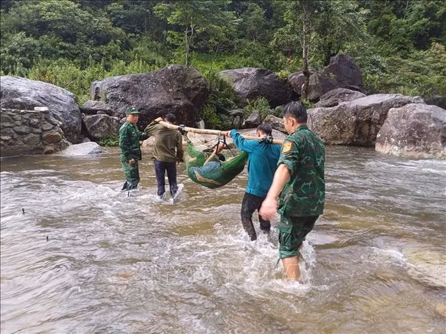 Lực lượng chức năng đưa nạn nhân ra khỏi rừng. Ảnh: TTXVN