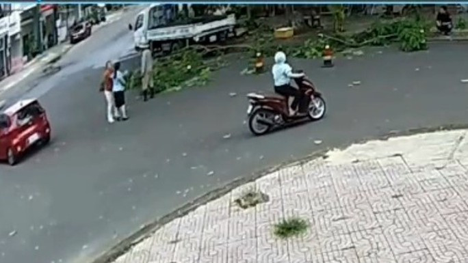 Nữ nhân viên công ty môi trường bất ngờ bị đánh khi đang cắt tỉa cây - Ảnh 1. Người phụ nữ xô đẩy, tát vào mặt chị H. Ảnh cắt từ clip