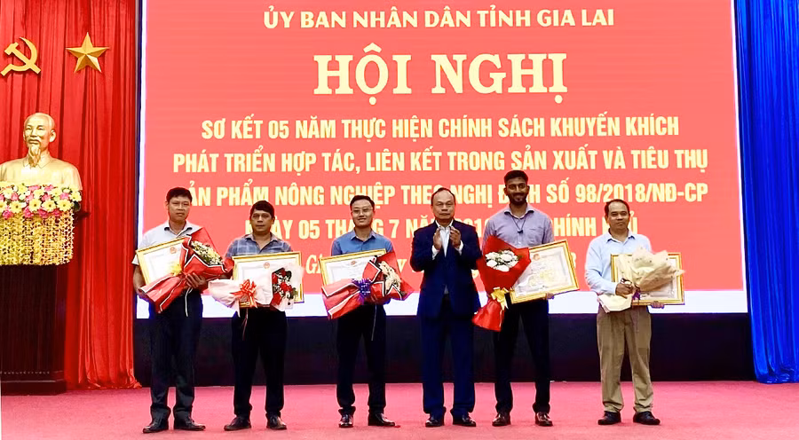 Phó Chủ tịch UBND tỉnh Dương Mah Tiệp trao bằng khen của Chủ tịch UBND tỉnh cho 5 đơn vị có thành tích xuất sắc trong thực hiện Nghị định số 98/2018/NĐ-CP. Ảnh: Hà Duy