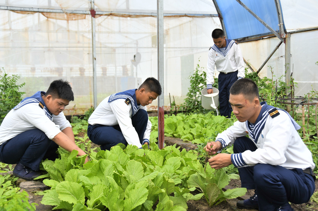 Các chiến sĩ tăng gia sản xuất mỗi ngày. Ảnh: Nữ Vương Các chiến sĩ tăng gia sản xuất mỗi ngày. Ảnh: Nữ Vương