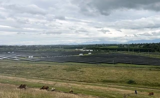 Theo Thanh tra Chính phủ, dự án điện mặt trời BMT có nhiều vi phạm cần xử lý. Ảnh: T.C