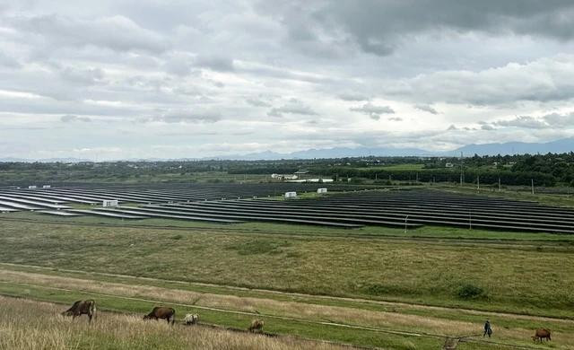 Theo Thanh tra Chính phủ, dự án điện mặt trời BMT có nhiều vi phạm cần xử lý. Ảnh: T.C Theo Thanh tra Chính phủ, dự án điện mặt trời BMT có nhiều vi phạm cần xử lý. Ảnh: T.C